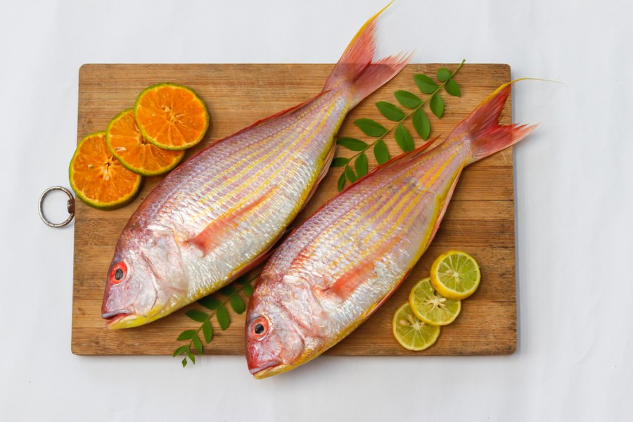Cuisiner les dorades roses : des poissons à la saveur unique